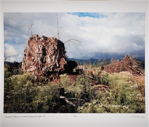 Image description is not available for 2025.243